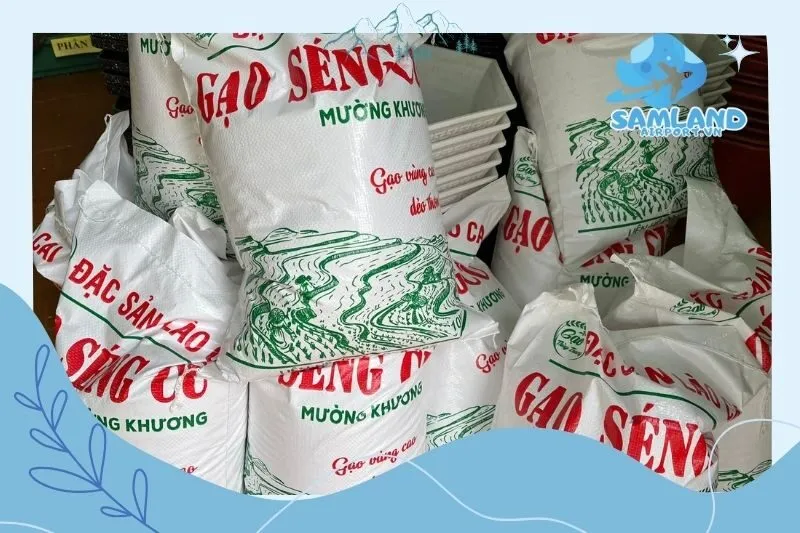 Gạo Séng Cù Thùy Trang