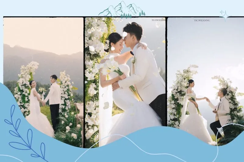 TiCi Wedding Studio