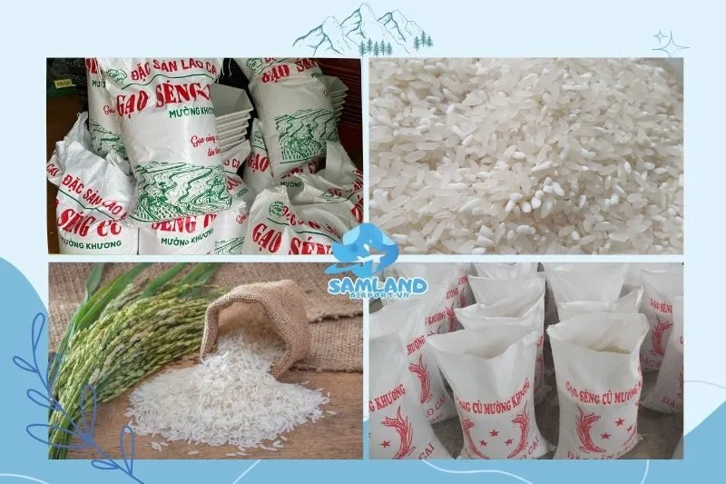 Top 5 đại lý gạo Lào Cai chất lượng