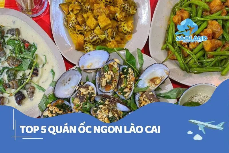 Top 5 Quán Ốc Ngon Lào Cai Phải Thử Ngay 2025