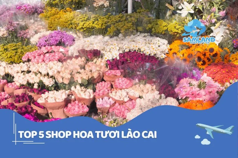 Top 5 Shop Hoa Tươi Lào Cai Đẹp Khỏi Bàn 2025
