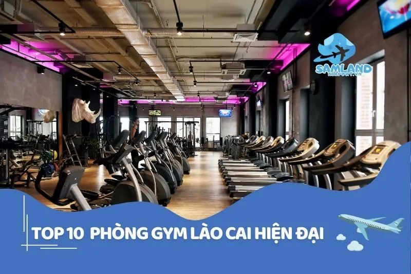 Top phòng Gym Lào Cai xịn xò nhất bạn phải thử ngay 2025