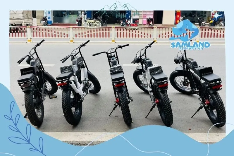 Xe Đạp Quốc Tế Giant 368 Lào Cai