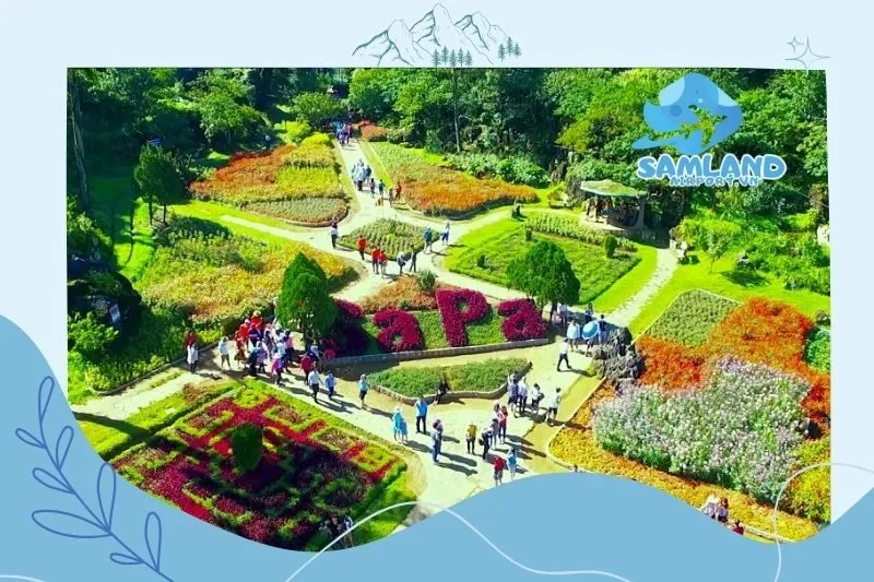 Các hoạt động trải nghiệm không thể bỏ qua