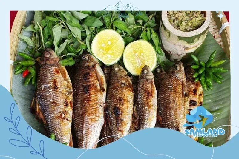 Cách thưởng thức rượu San Lùng đúng chuẩn