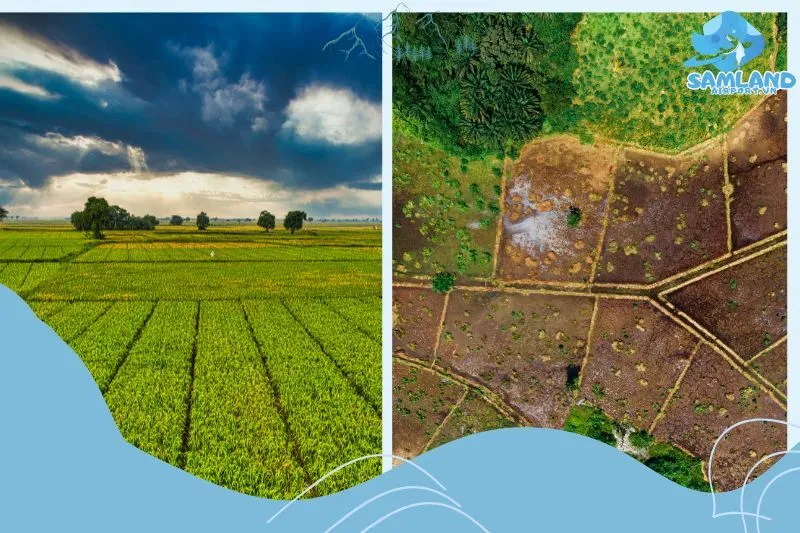 Khám phá 5 farmstay nổi bật nhất tại Lào Cai