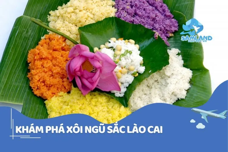 KHÁM PHÁ XÔI NGŨ SẮC LÀO CAI