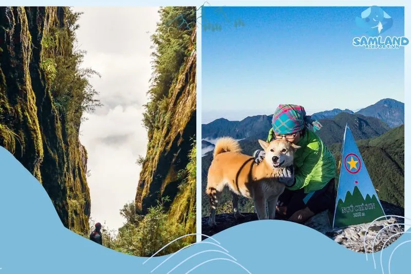 Những cung đường trekking tuyệt đẹp