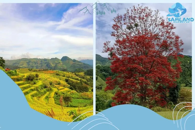 Núi Cao Sơn Lào Cai ở đâu và có gì đặc biệt?