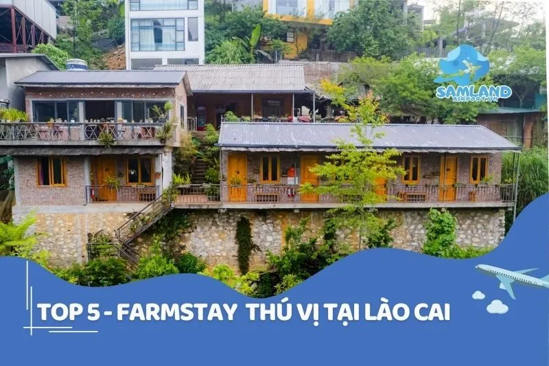 TOP 5 - farmstay thú vị tại Lào Cai