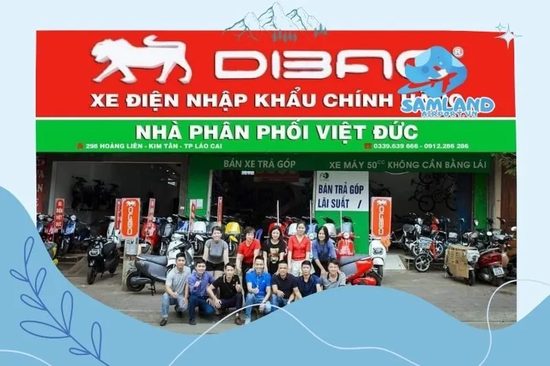 Xe điện Việt Đức - Dibao