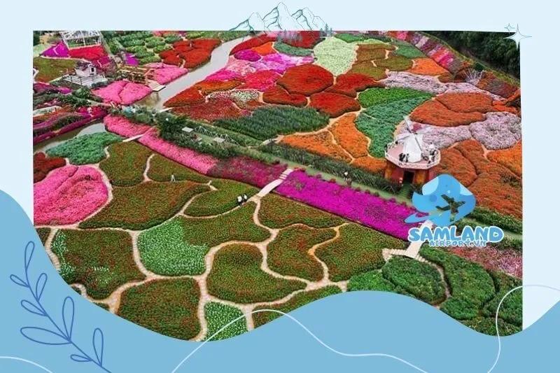 Cảnh Quan Thiên Nhiên Hùng Vĩ Của Thung Lũng Hoa Hồng