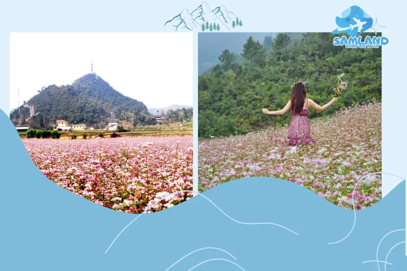 Chi phí tham quan và các dịch vụ tại cánh đồng hoa