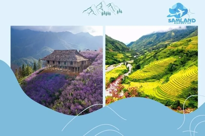 Di Chuyển Đến Thung Lũng Mường Hoa