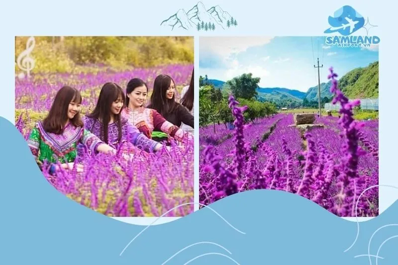 Điểm đến văn hóa độc đáo - Chợ phiên Bắc Hà