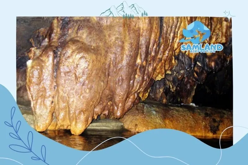 Động Mường Vi Lào Cai - Điểm Đến Du Lịch Hấp Dẫn tại Sa Pa