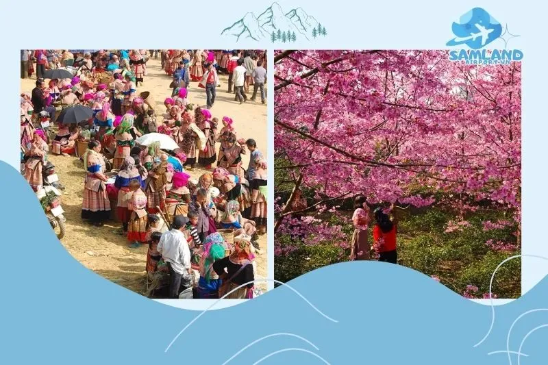 Hướng Dẫn Du Lịch Cao Sơn