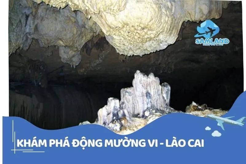 Khám Phá Động Mường Vi Lào Cai