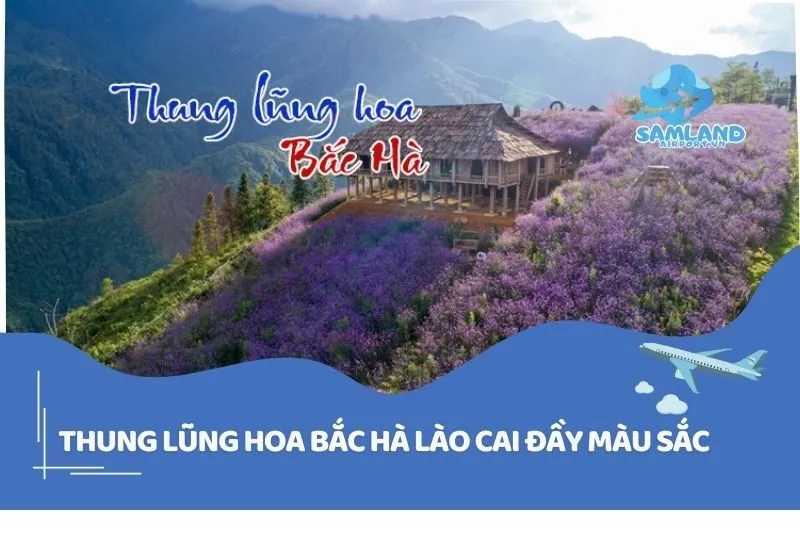 Thung lũng hoa Bắc Hà Lào Cai Đầy Màu Sắc