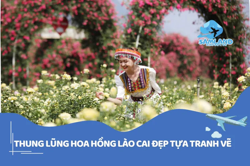 Thung Lũng Hoa Hồng Lào Cai Bức Tranh Thiên Nhiên Mơ Mộng
