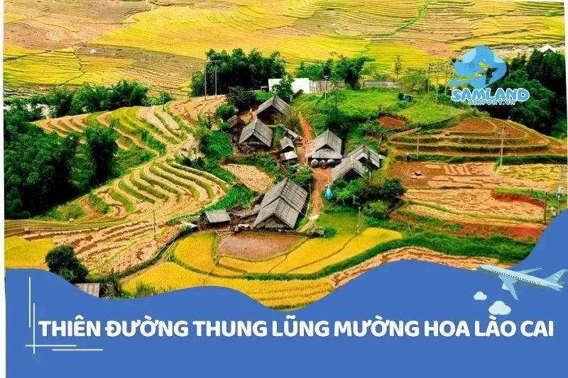 Thung lũng Mường Hoa Lào Cai 2025 – Điểm đến tuyệt vời cho du khách