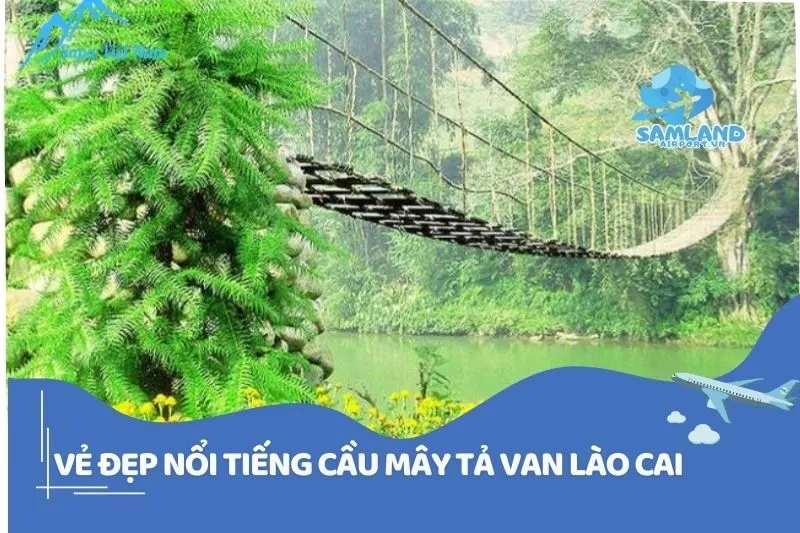 Vẻ Đẹp Nổi Tiếng Cầu Mây Tả Van Lào Cai